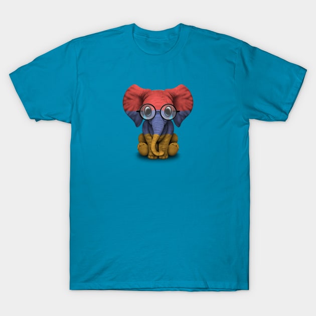 Baby Elephant with Glasses and Armenian Flag T-Shirt by jeffbartels